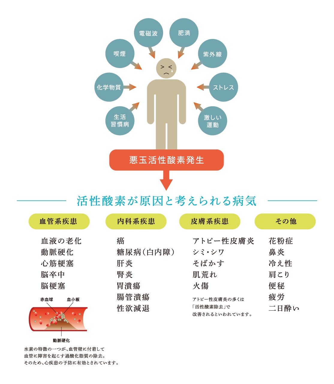 天然由来成分を使用したveganオーガニックカラーを導入